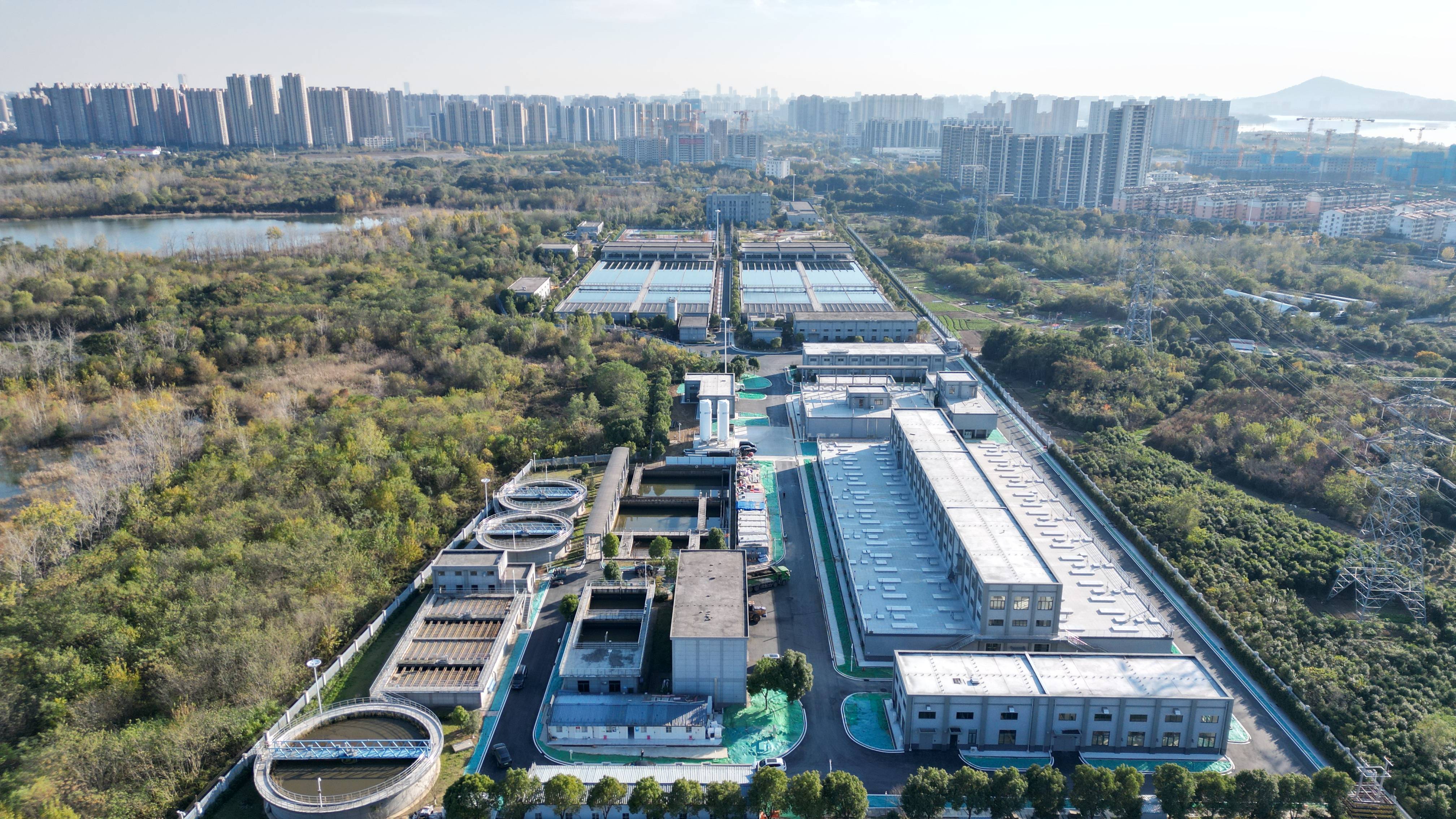 高雄市合肥专业企业价值增长(合肥市重点企业产业目录)