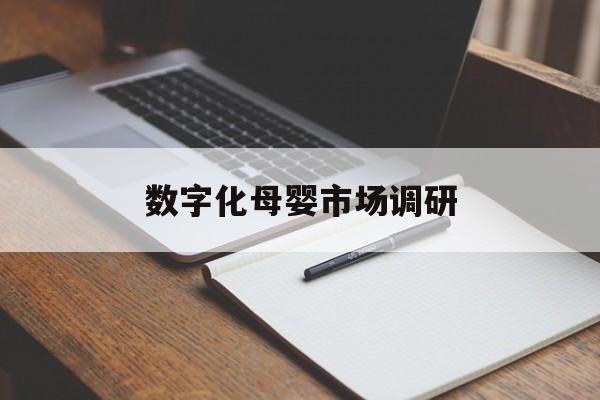 高雄市数字化母婴市场调研(数字化母婴市场调研报告)